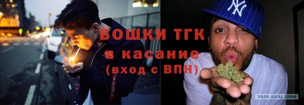 прущие грибы Абдулино
