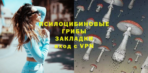 прущие грибы Абдулино