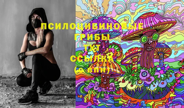 винт Абаза