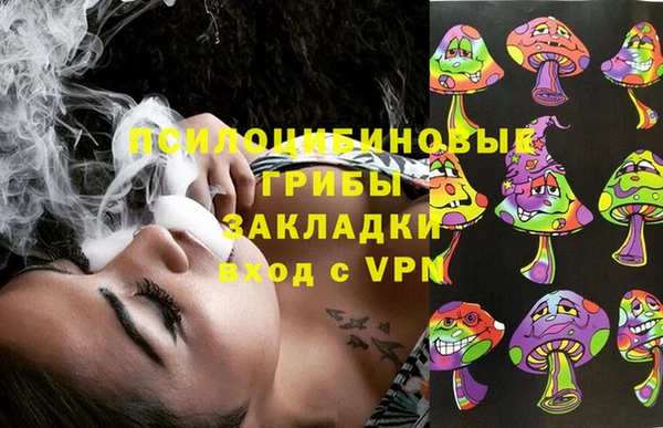 ПСИЛОЦИБИНОВЫЕ ГРИБЫ Осинники