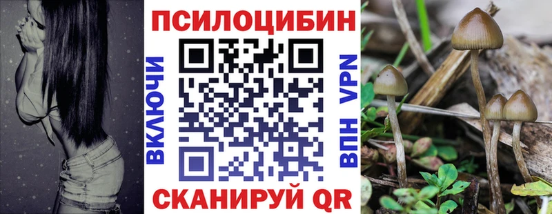 наркота Карпинск Псилоцибиновые грибы Cubensis